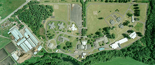 aerial image of maple lane facility