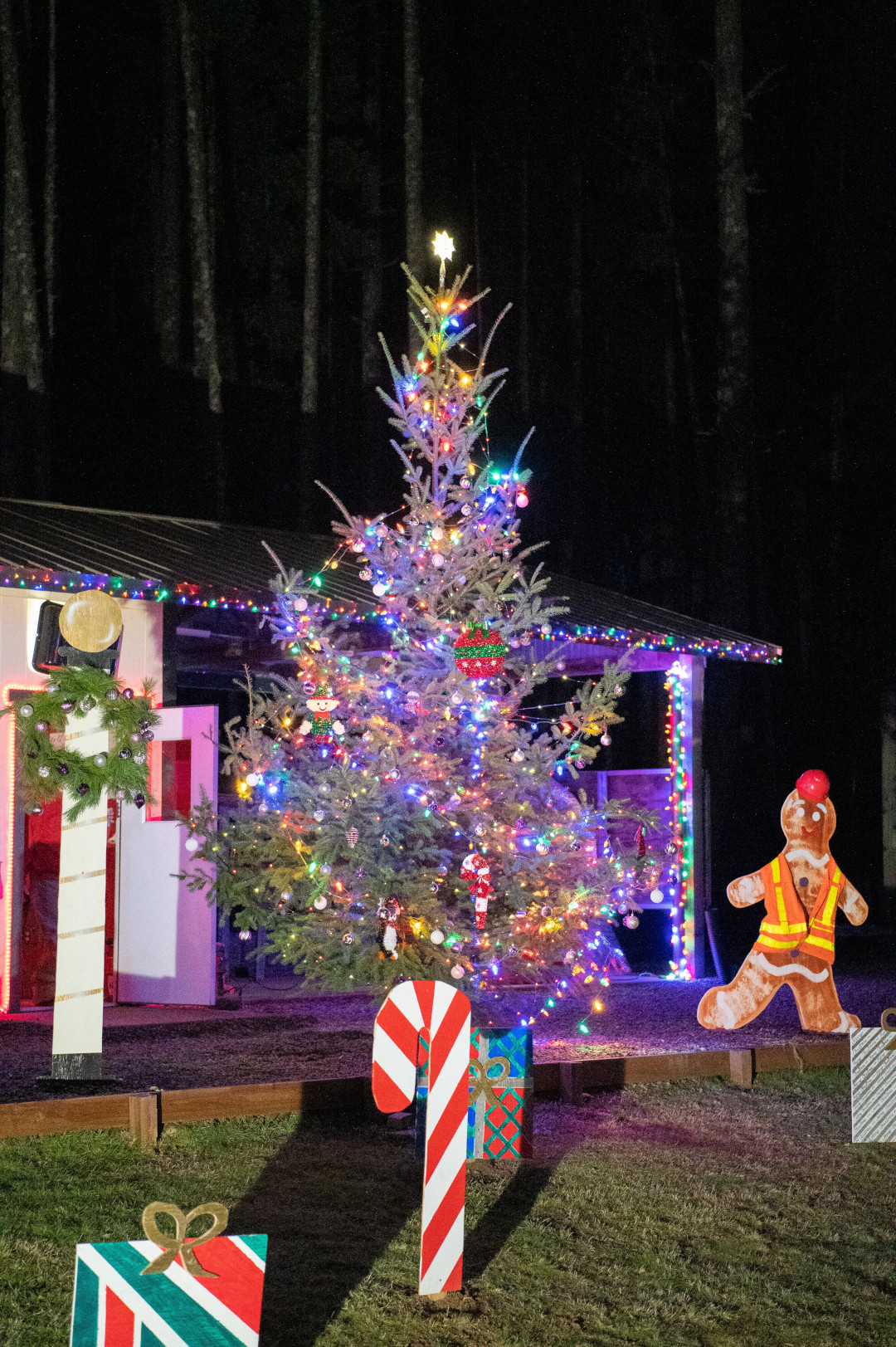 A tall tree decorated with Christmas décor.